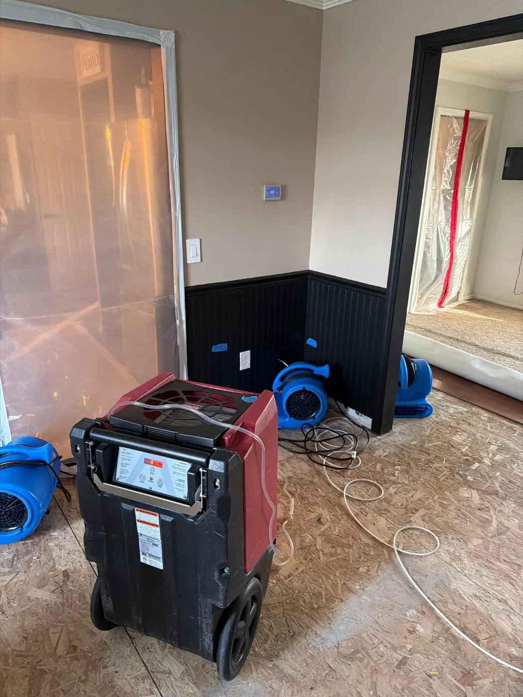 Thermal imaging during water damage assessment in Tanglewood residence